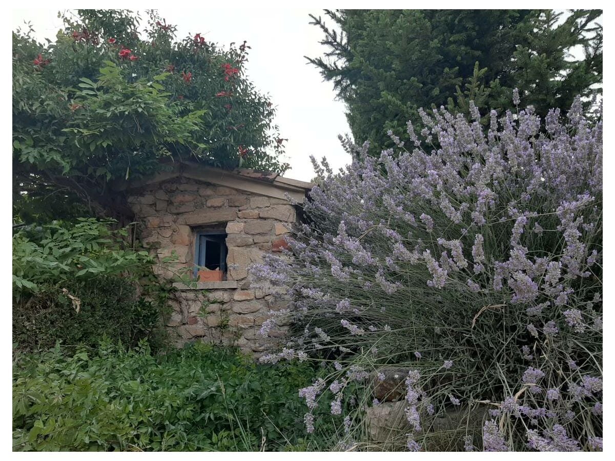 Kleines Steinhaus am Becken