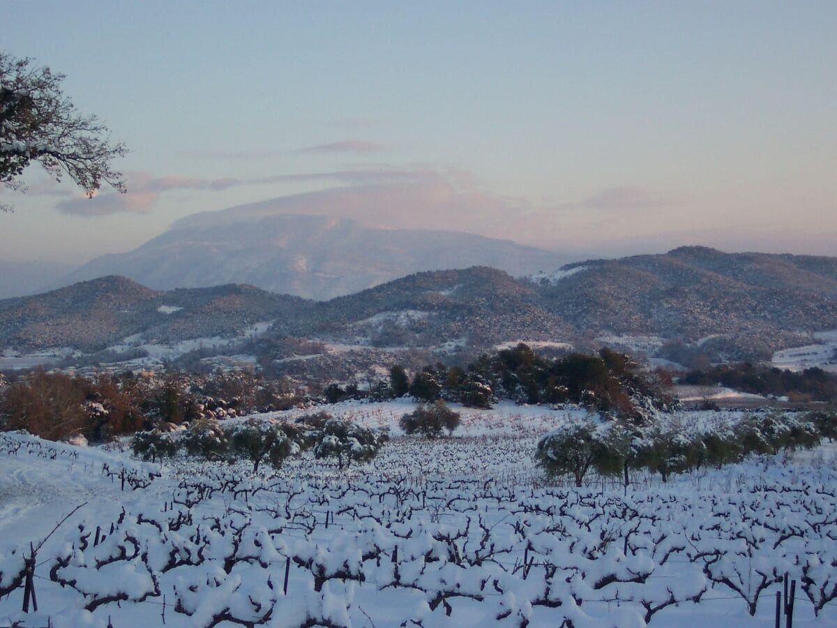 Blick auf Mont Ventoux im Winter