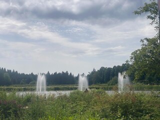 Apartamento Hahnenklee Entorno 24