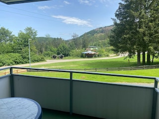 Apartment Hahnenklee Outdoor Recording 2