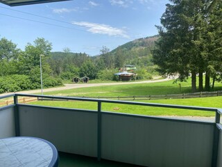 Appartement Hahnenklee Buitenaudio-opname 2