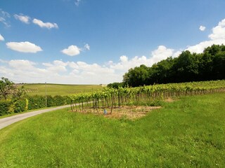 Vakantiepark Saint-Preuil Buitenaudio-opname 8