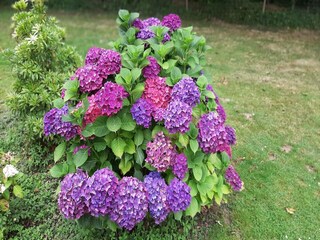 Roulotte Gouvets  36