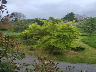 Roulotte Gouvets Ambiente 25