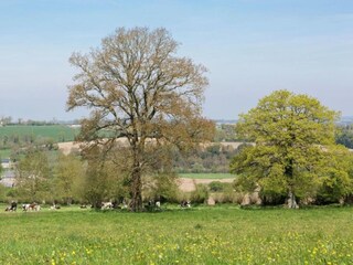 Roulotte Gouvets Ambiente 29