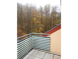 Blick vom Balkon in den schönen "Gespensterwald"