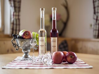 Casa per le vacanze Hippach Caratteristiche 24