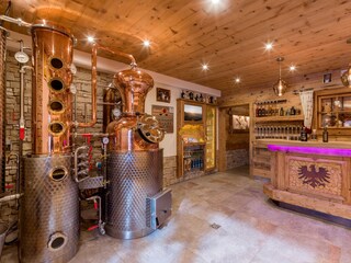 Vakantiehuis Hippach Buitenaudio-opname 5