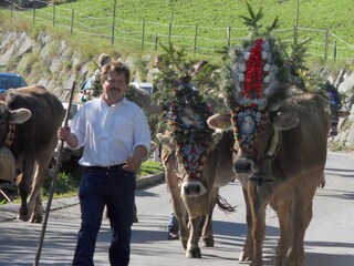 Casa per le vacanze Hippach Ambiente 27
