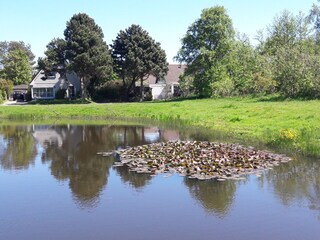 Teich gegenüber dem Haus