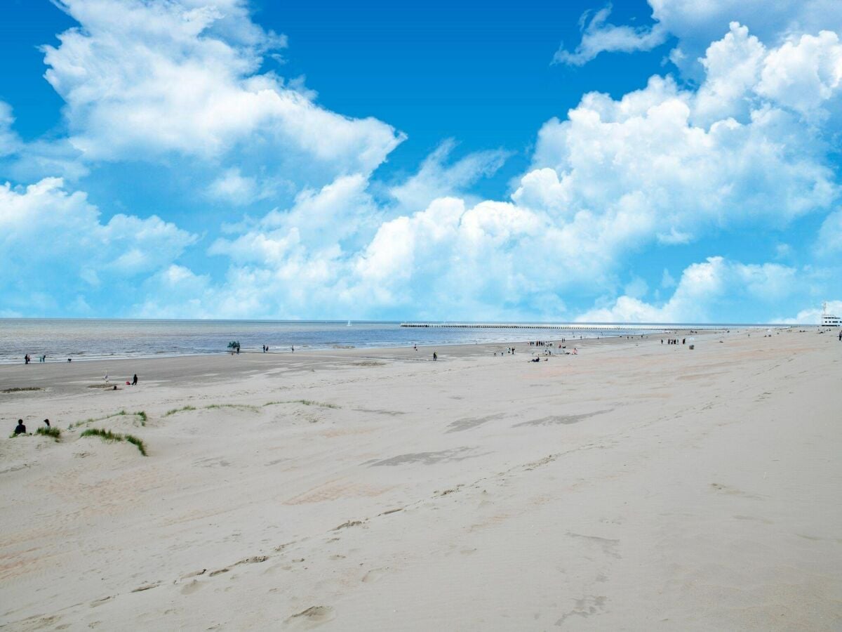 Ferienhaus Nieuwpoort Umgebung 20