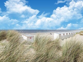 Maison de vacances Nieuwpoort Environnement 24