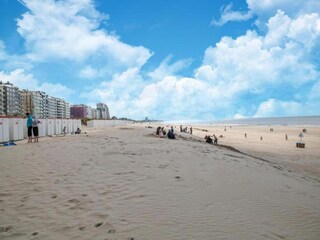 Maison de vacances Nieuwpoort Environnement 33