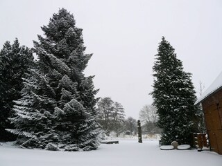 Apartamento Schieder-Schwalenberg Entorno 36