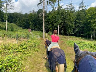 Apartment Schieder-Schwalenberg Umgebung 29