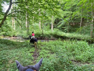 Apartment Schieder-Schwalenberg Umgebung 26