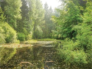 Apartamento Schieder-Schwalenberg Entorno 26