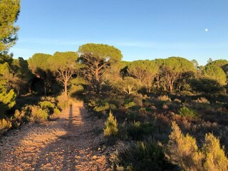 Ferienhaus Vidauban Umgebung 37