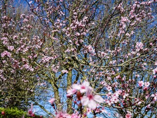 Casa per le vacanze Veere  37