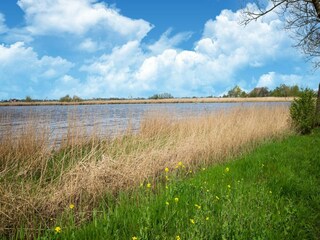 Maison de vacances Munnekeburen Environnement 25