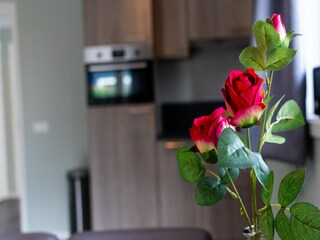 Vakantiehuis Munnekeburen  32