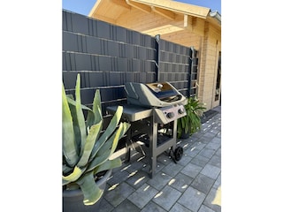 Weber-Grill
