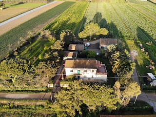 Vakantieappartement Campiglia Marittima Buitenaudio-opname 5