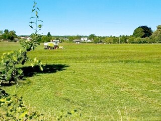 Holiday house Högsby Outdoor Recording 6