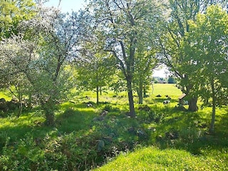 Holiday house Högsby Outdoor Recording 7