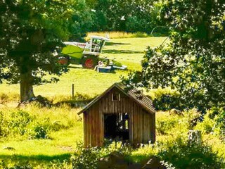 Vakantiehuis Högsby Buitenaudio-opname 2