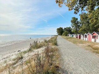 Ferienhaus Glemmingebro  13
