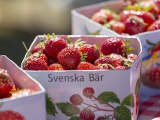 Maison de vacances Åseda  18