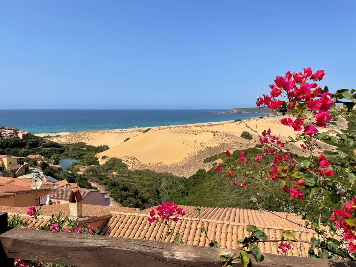 Ausblick auf den Strand