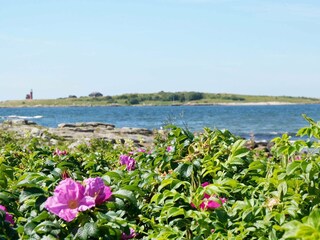 Vakantiehuis Halmstad  37