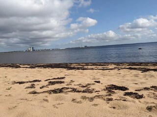 Vakantiehuis Halmstad  9