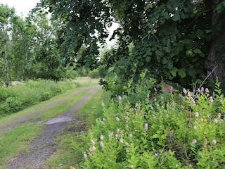 Holiday house Skällinge Outdoor Recording 9