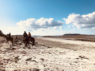 Ferienhaus Pleumeur-Gautier Umgebung 19