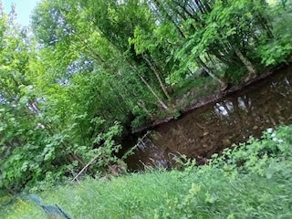 Chalet le thillot Umgebung 39