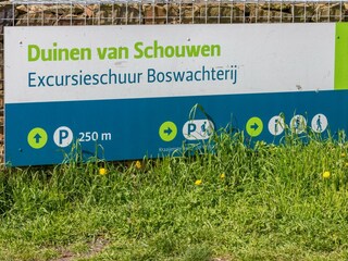 Holiday house Westenschouwen Environment 31