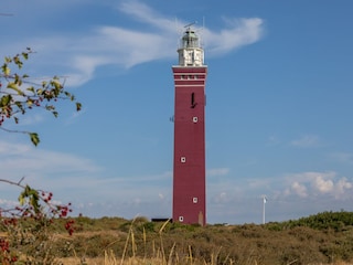 Maison de vacances Westenschouwen Environnement 33