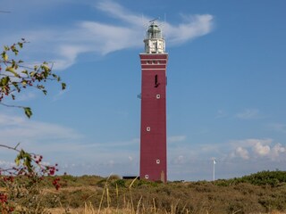 Vakantiehuis Westenschouwen Omgeving 32