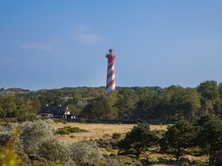 Vakantiehuis Westenschouwen Omgeving 32