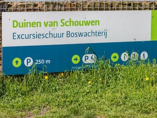 Vakantiehuis Westenschouwen Omgeving 31