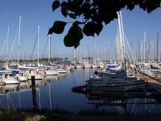 im Hafen flanieren