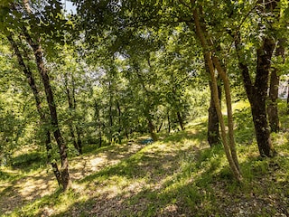 Villa Vicopisano Umgebung 39