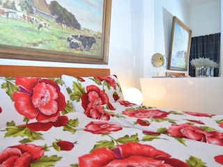 Apartamento Bad Suderode Características 7