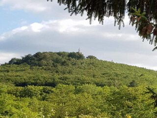 Vakantiehuis Blankenburg Omgeving 19