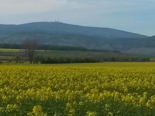 Ferienhaus Blankenburg Umgebung 27