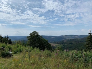 Ferienhaus Blankenburg Umgebung 28