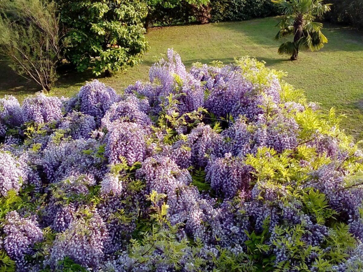 Casa de vacaciones Pastrengo Grabación al aire libre 1